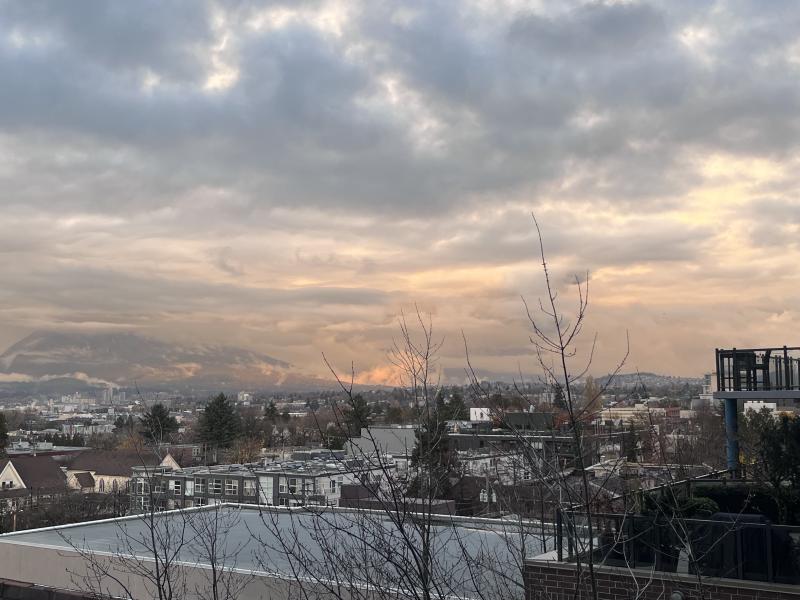 Featured image of post 温哥华浣熊捡垃圾教学